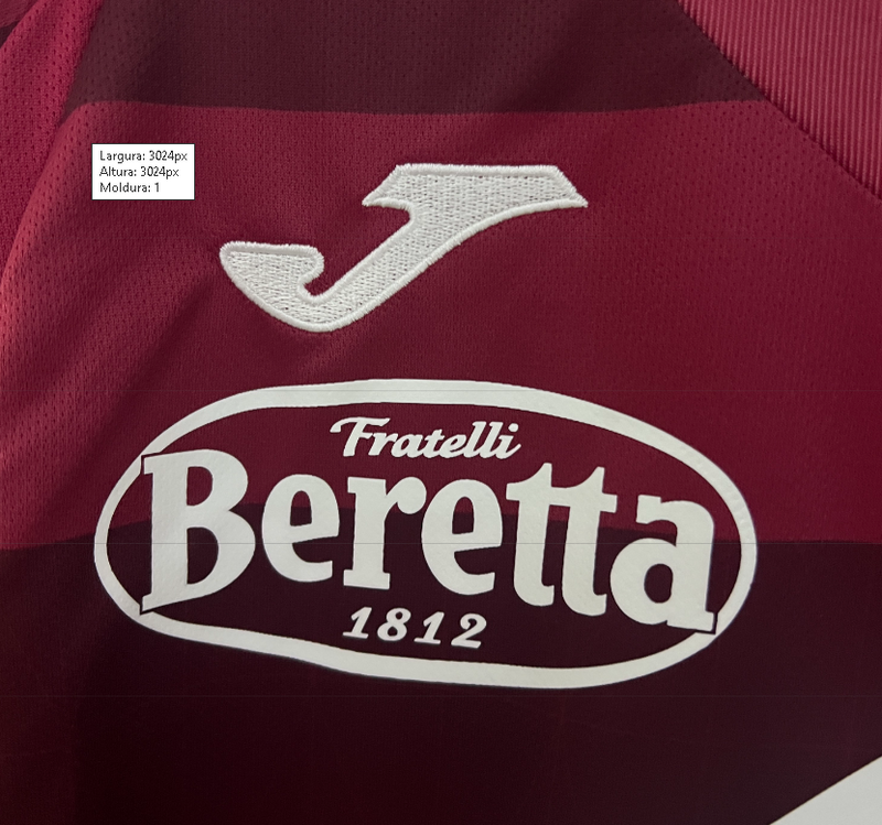 Camisa  Torino - Torcedor | 24/25  (CASA)