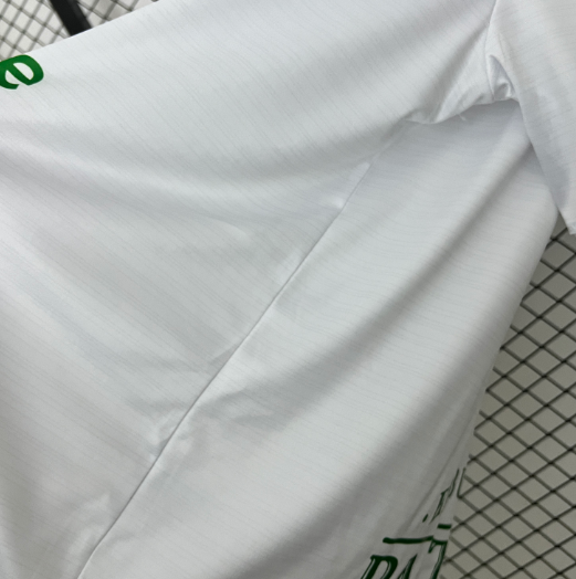 Camisa Santander - Torcedor | 24/25 - (Casa)