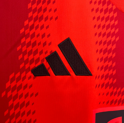 Camisa Bayern Munich - Torcedor | 24/25 (Casa)