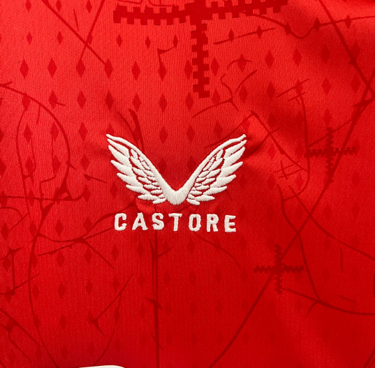 Camisa Bayer 04 Leverkusen - Torcedor | 24/25 (Casa)