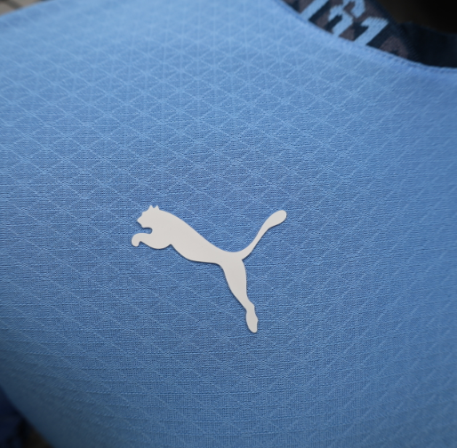 Camisa Manchester City - Jogador | 24/25 - (Casa)