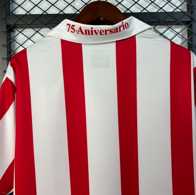 Camisa Granada - Retrô | 05/06 - (Casa)