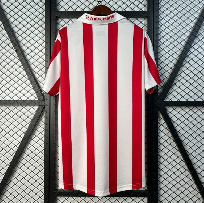 Camisa Granada - Retrô | 05/06 - (Casa)